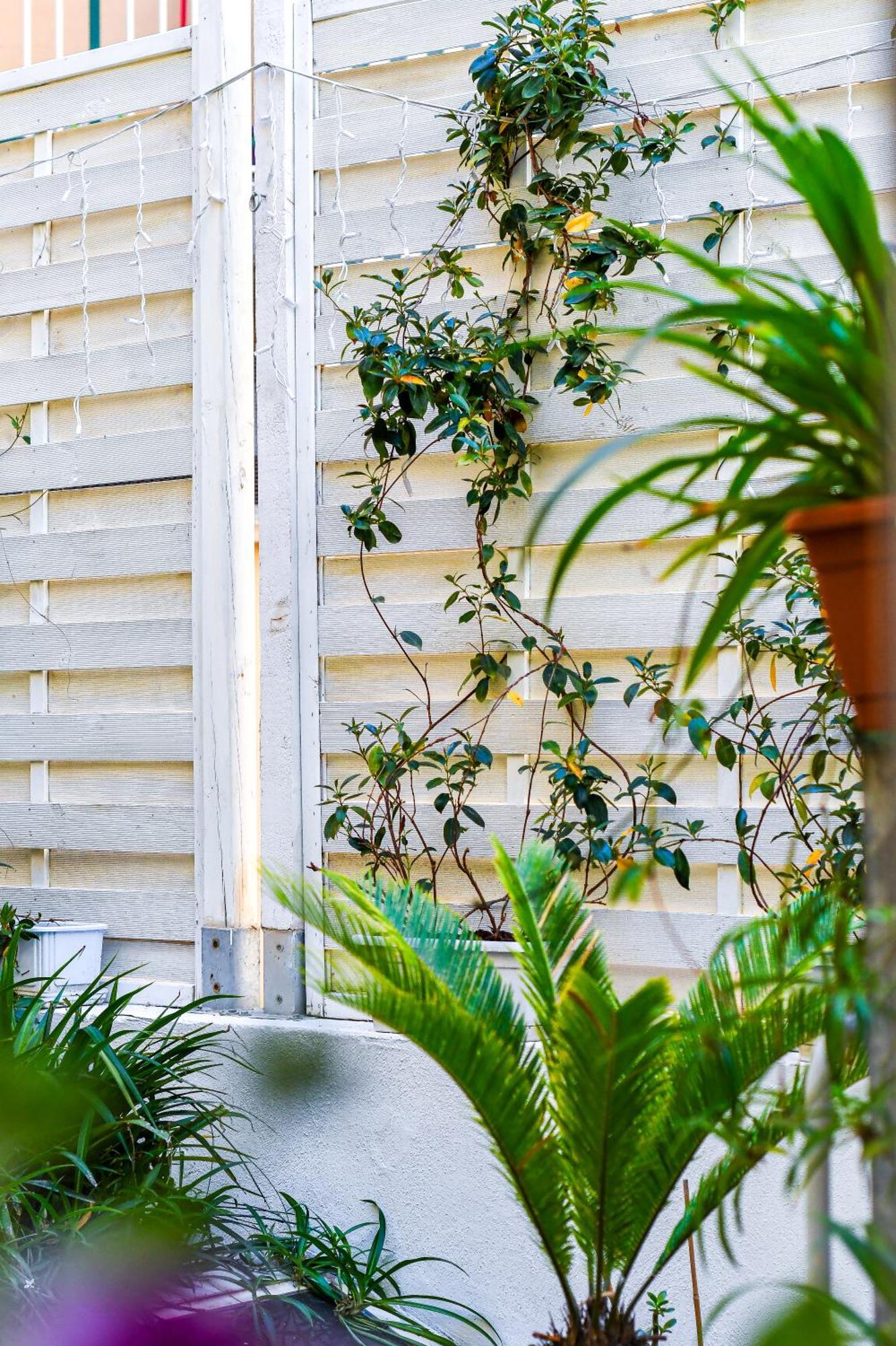 Le Stanze Del Centro Hotel Termoli Ngoại thất bức ảnh